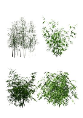 鸟瞰植物园林模块