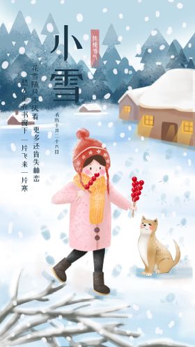 编号：60853909241255401305【酷图网】源文件下载-小雪海报