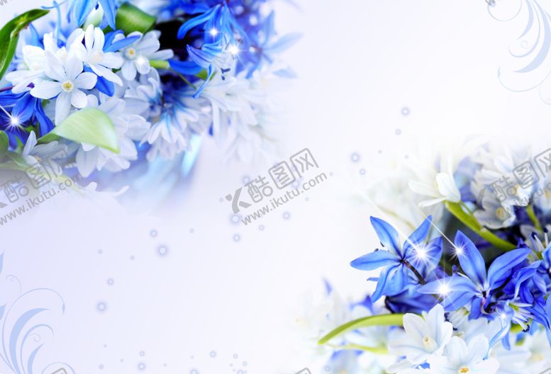 编号：75410709291913591831【酷图网】源文件下载-花卉