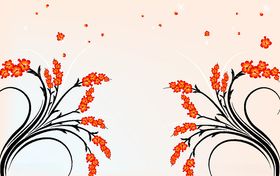 麦V诗尚  皇冠   麦穗  