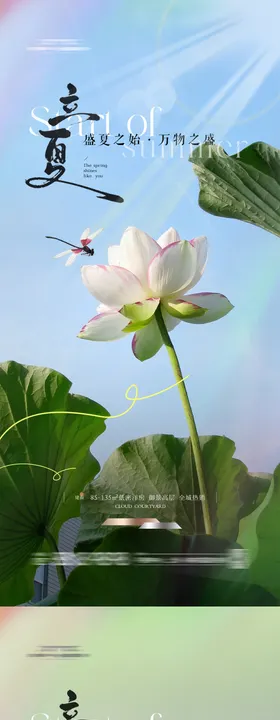 立夏海报天蜻蜓二十四节气荷花