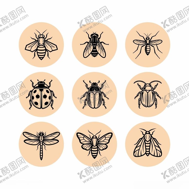 编号：60210504301950364076【酷图网】源文件下载-昆虫图标集合