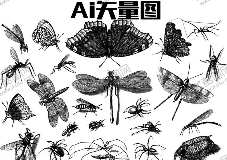 编号：56838309102130124079【酷图网】源文件下载-昆虫