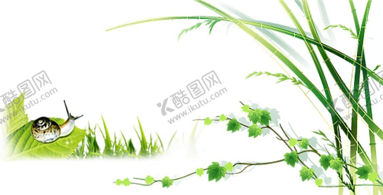 编号：23806609281943575366【酷图网】源文件下载-绿色相框