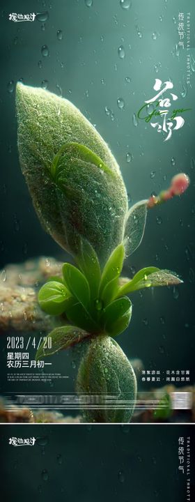 谷雨节气海报