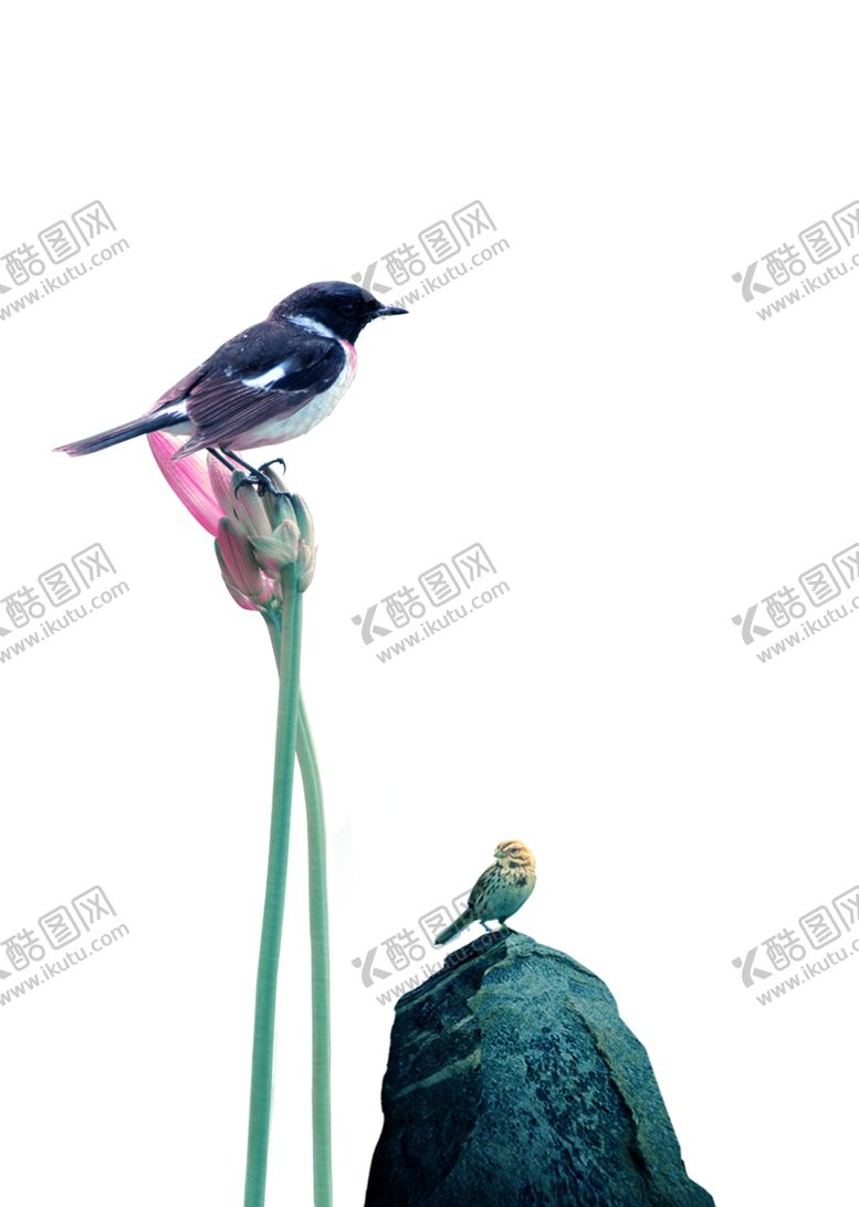 编号：92635410210349516265【酷图网】源文件下载-传统中国风古风装饰元素