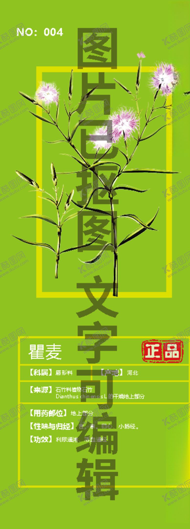 编号：59777709182242414452【酷图网】源文件下载-瞿麦