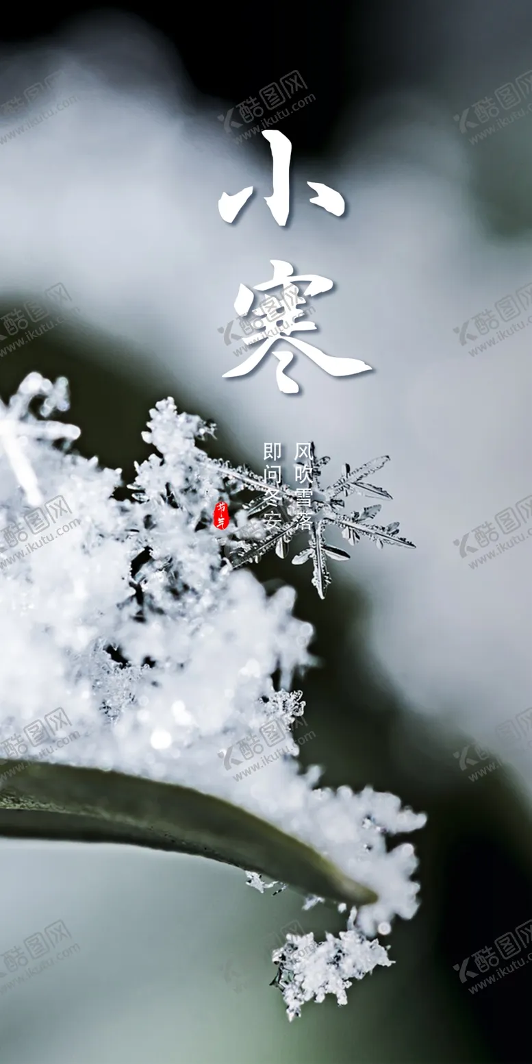 编号：78641202271108424486【酷图网】源文件下载-雪花