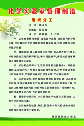 化学燃烧测定图