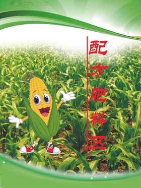 玉米