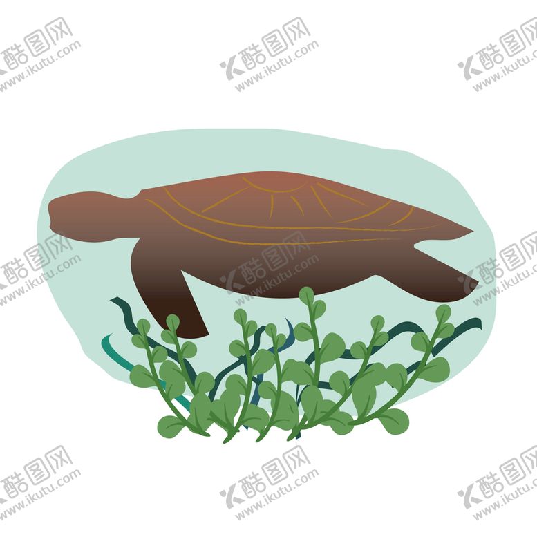 编号：59214609250110411530【酷图网】源文件下载-海龟