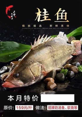 桂鱼特价海报