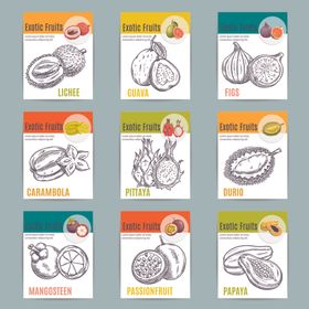 多种水果轮廓图展示