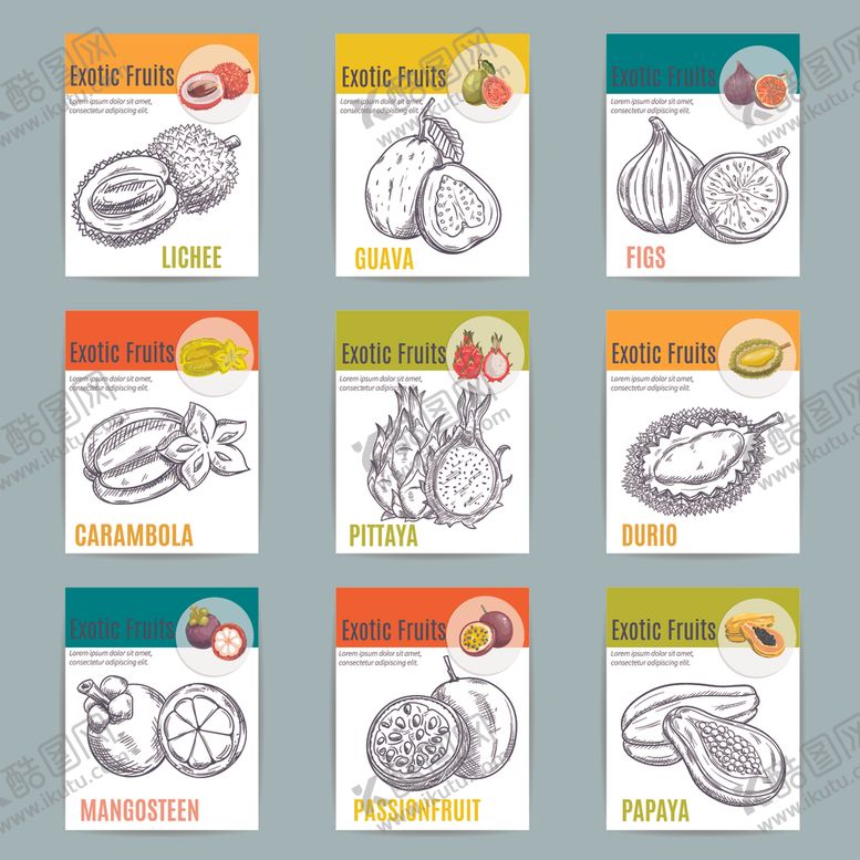 编号：78076604050433292775【酷图网】源文件下载-多种水果轮廓图展示