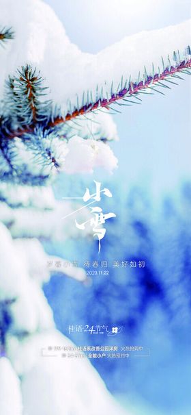 立冬小雪大雪小寒大寒海报