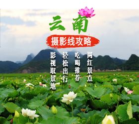 普者黑荷花方图