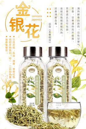 金银花宣传海报