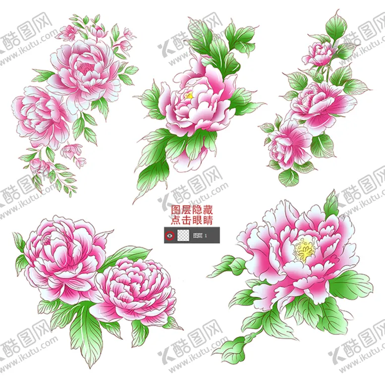 编号：53148709230301424279【酷图网】源文件下载-牡丹花