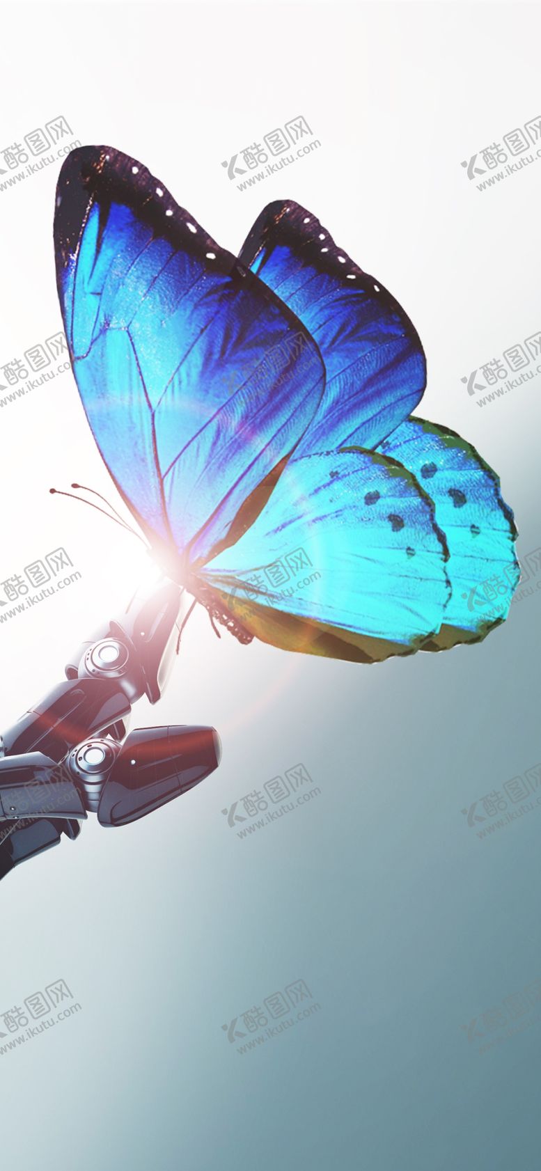 编号：94392805140237094282【酷图网】源文件下载-手机壁纸