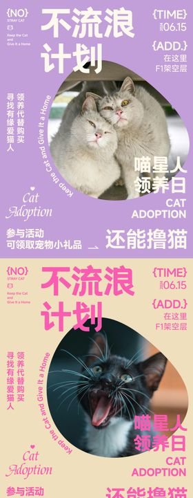 流浪宠物猫咪领养活动系列海报