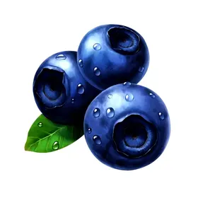 蓝莓