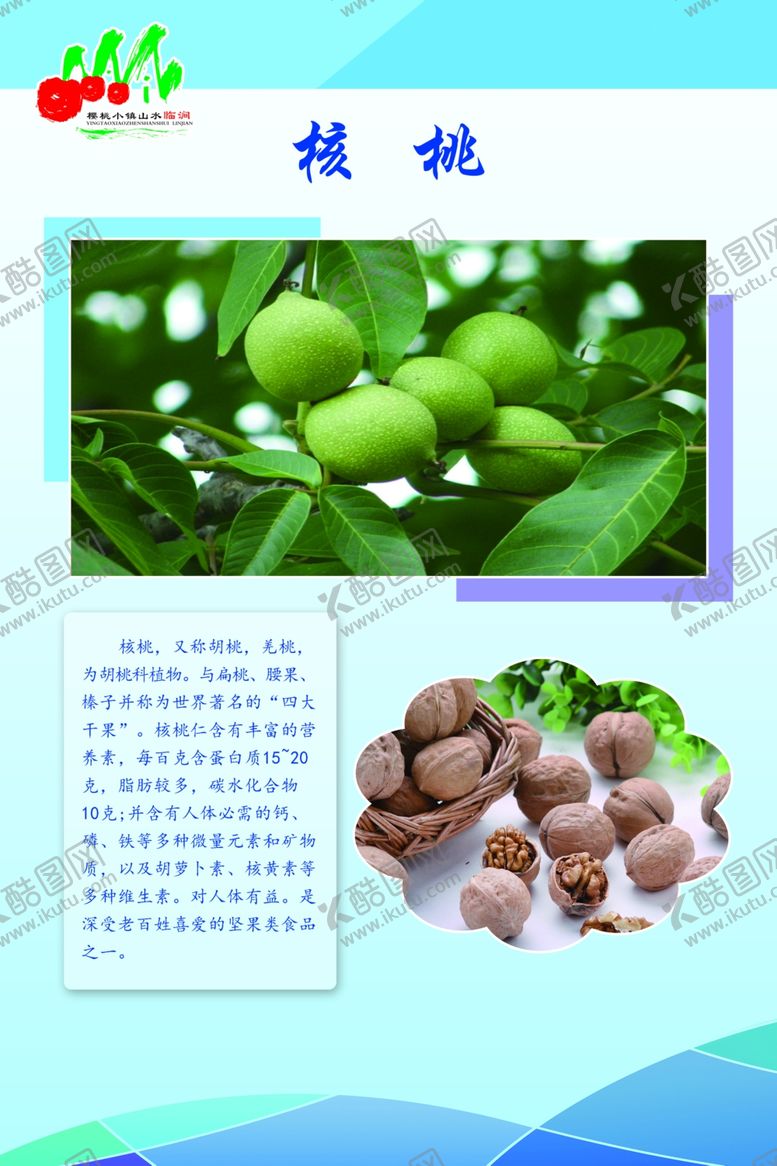 编号：69916102210458466772【酷图网】源文件下载-核桃
