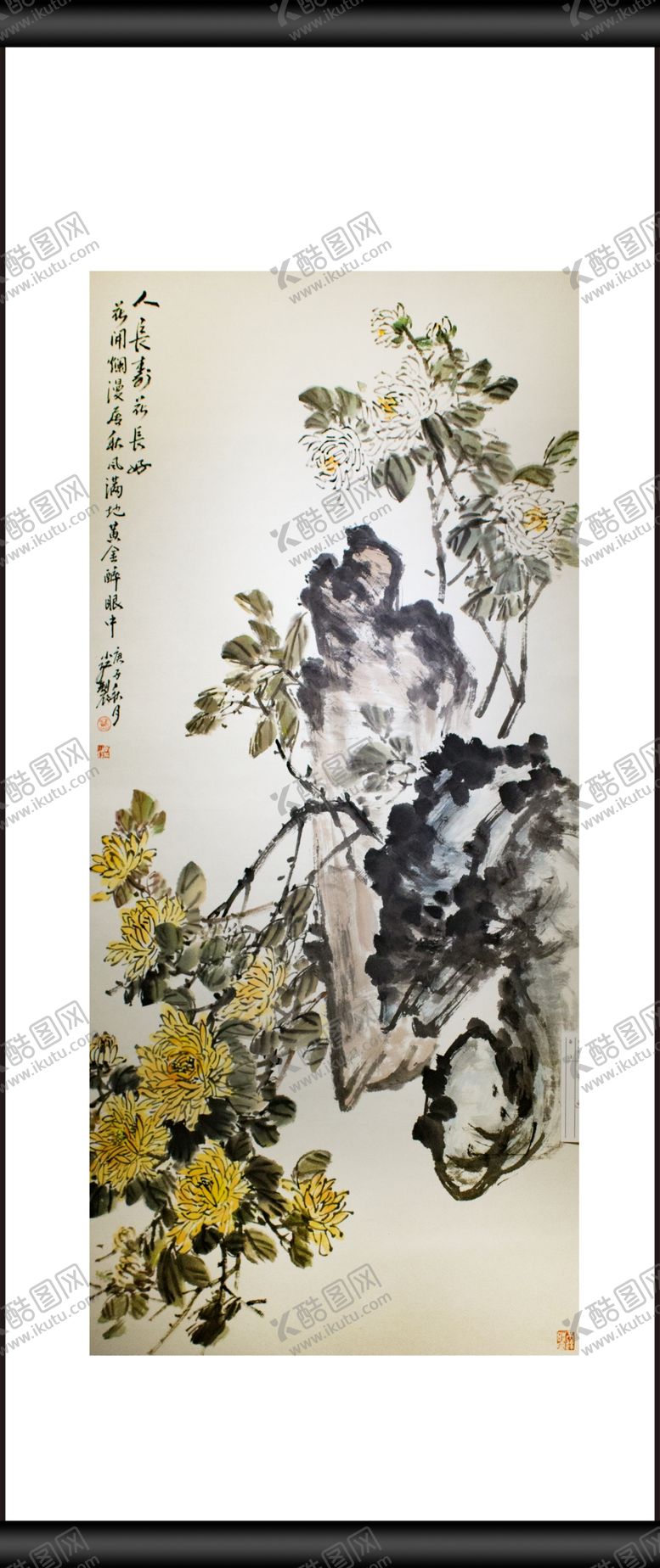 编号：96380304231732265755【酷图网】源文件下载-菊花