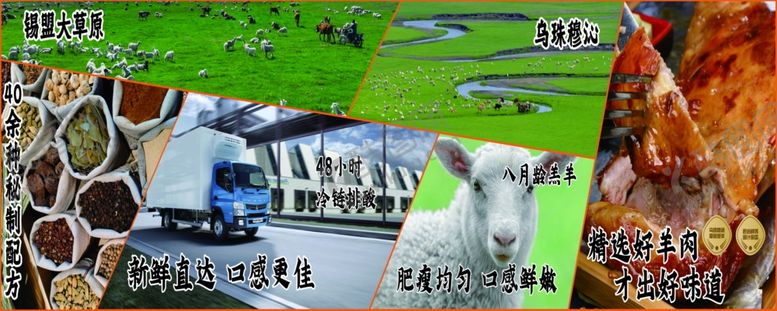 编号：46426001140711134236【酷图网】源文件下载-苏尼特羊