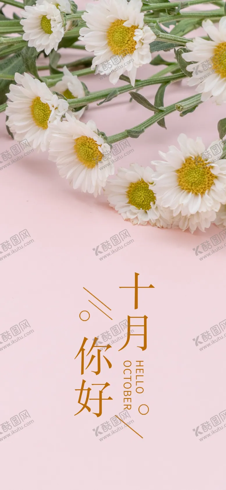 编号：63919802221455052248【酷图网】源文件下载-十月