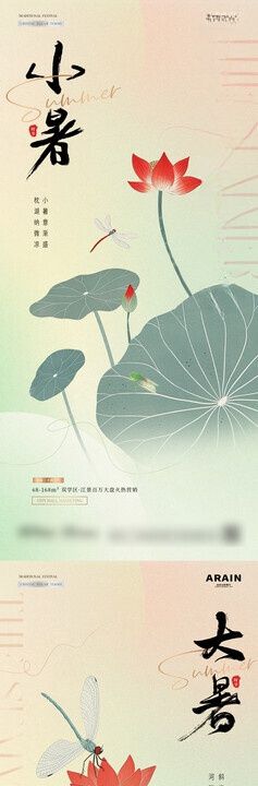 小暑大暑荷花简笔画海报