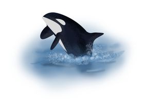 动物图片梦幻森林森林总员卡通手绘