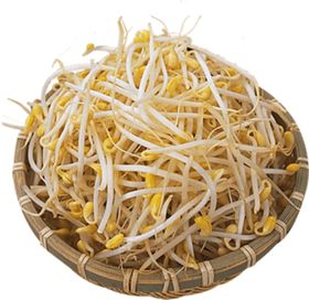 面条豆芽吊牌