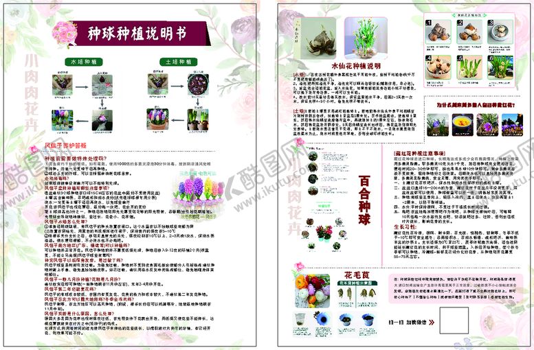 编号：04756210092033293046【酷图网】源文件下载-花卉传单