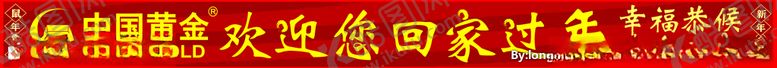 编号：48117707131856234160【酷图网】源文件下载-中国黄金过年条幅