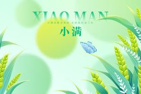 清新小麦背景图