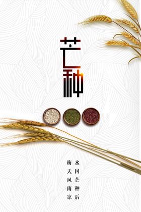 芒种
