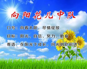 向阳花背景板