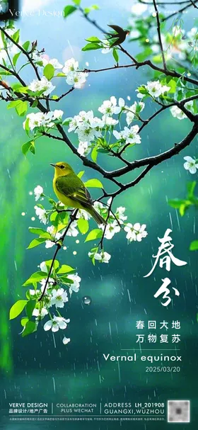 二十四节气春分海报