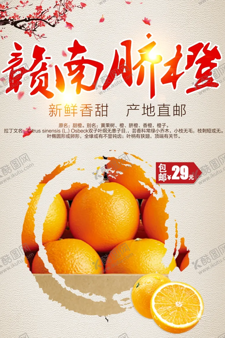 编号：80241001280821286362【酷图网】源文件下载-赣南脐橙