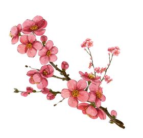 中国风水墨梅