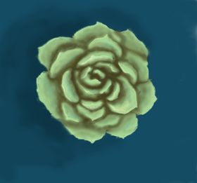 典雅多肉插画
