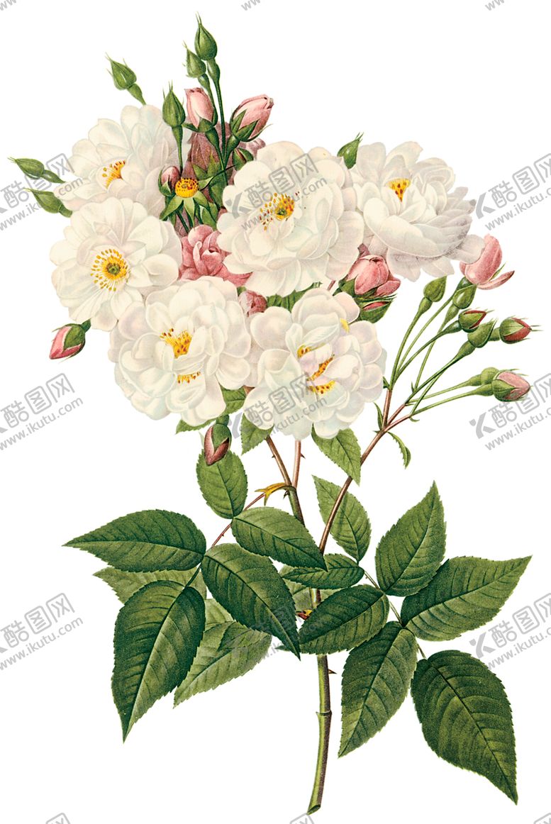 编号：77217107051029443270【酷图网】源文件下载-植物花卉油画装饰画