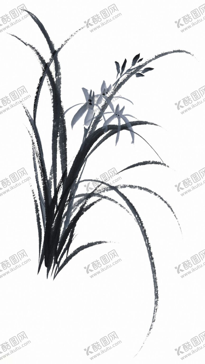 编号：40586309130744162567【酷图网】源文件下载-兰花素材