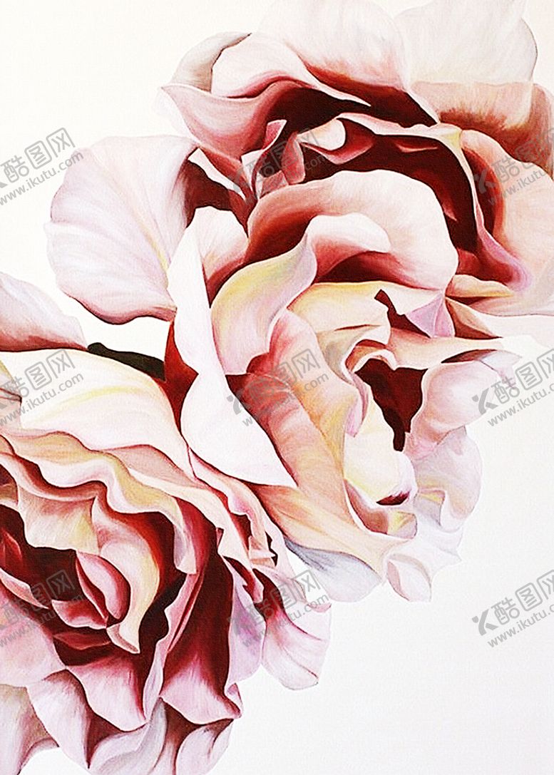 编号：72849510100544417842【酷图网】源文件下载-花卉装饰画
