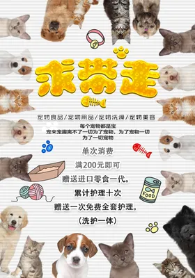 宠物海报
