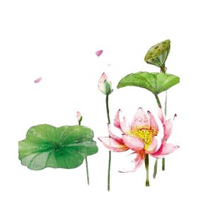 荷花素材立夏海报立夏背景夏天海报