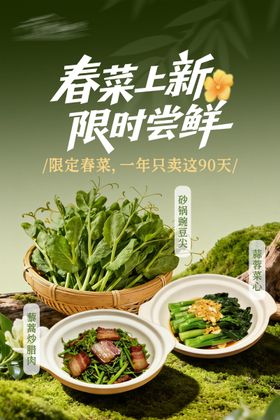 春季餐饮菜品宣传海报设计