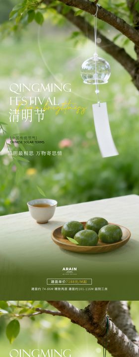 清明节青团摄影简约海报