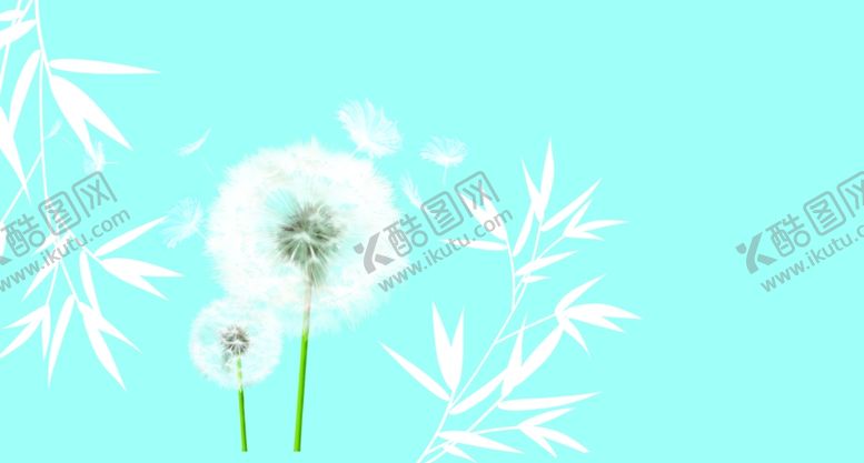 编号：53741205021459372660【酷图网】源文件下载-蒲公英