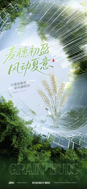 小满芒种节气稿